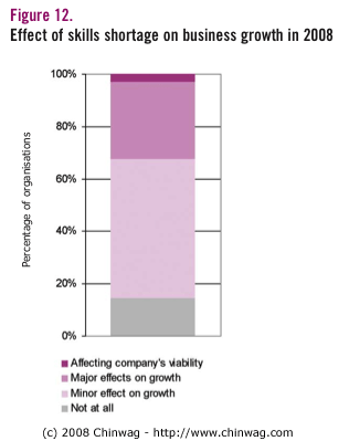 Figure 12 - Effect of skills shortage on business growth in 2008